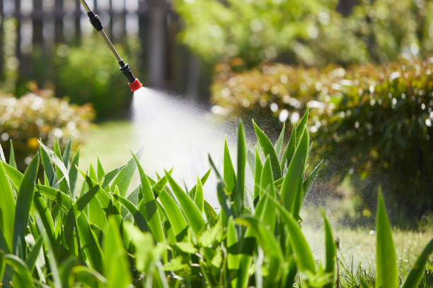 24/7 Emergency Mosquito Control experts in Mila Doce, TX